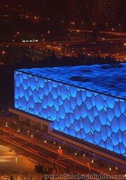 The Bird's Nest
