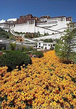 Potala Palace in April