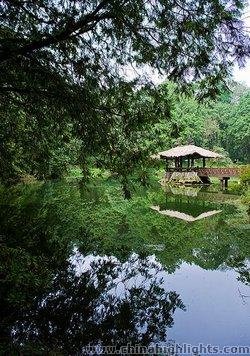 Alishan National Park