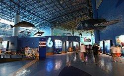 Beijing Aquarium