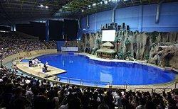 The performing area of Beijing Aquarium