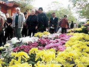 The Double Ninth Festival