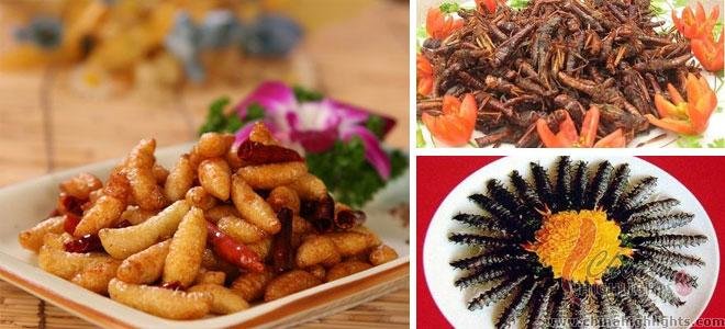 Fried Bee Pupa