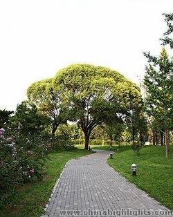 Chaoyang Park