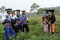 Qiyue Festival