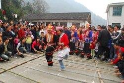 Jin Feng Festival