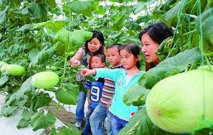 Sunqiao Happy Harvest Festival