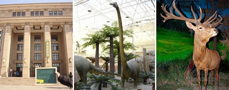 Beijing Museum of Natural History