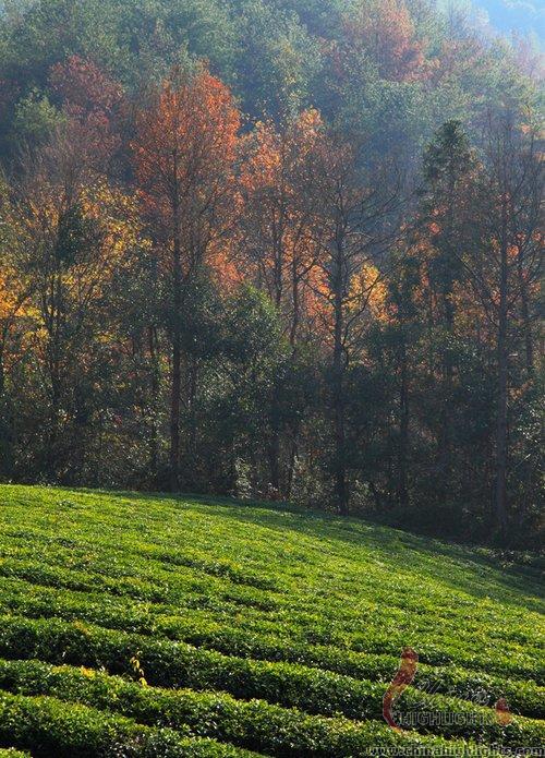 Wuyuan in Early Winter