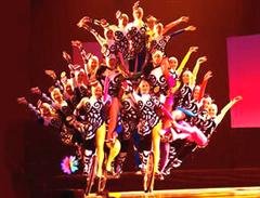 Chaoyang Acrobatics Theater