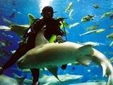 Beijing Pacific Underwater World Beijing Pacific Underwater World