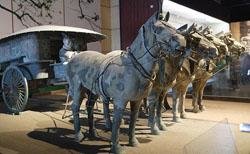 the terracotta horses in Shaanxi History Museum
