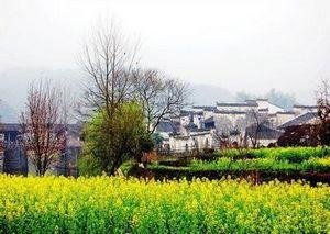 Wuyuan in March