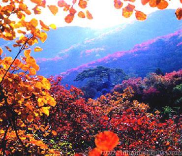The Fragrant Hills