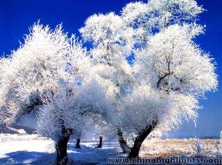 The rime scenery of Jilin