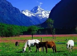 Shuangqiao Valley, Four Girls Mountain