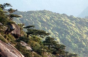 Qifengshan National Forest Park 
