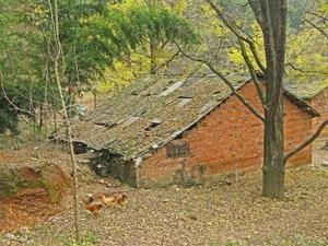 Tongmu Village, Haiyang County - Tongmu