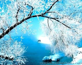 The Rime Scenery of Jilin