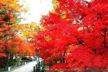 Shangfang Mountain