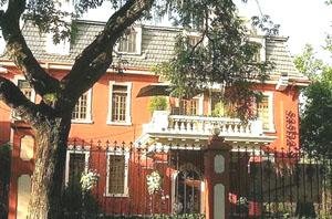 Sasha's