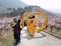 Fenghua Peach Flower Festival