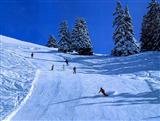 One Day Ski (Your Arrangements)
