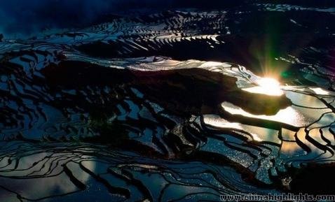 Yuanyang Rice Terraces