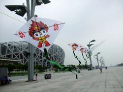 flying kites in Beijing Olympic Park