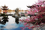 Free night in Hangzhou Free night in Hangzhou