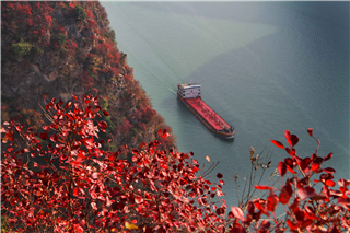 Yangtze River Cruise of President 1