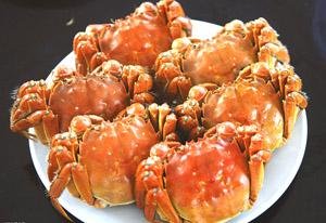 Hairy Crab — The Shanghai Delicacy Every Tourist Should Try