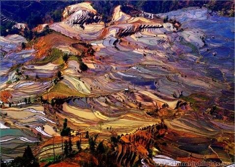 Yuanyang Rice Terraces