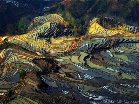 Yuanyang Rice Terraces