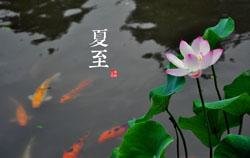 Summer Solstice (xià zhì夏至)