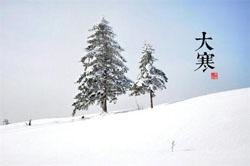 Major Cold