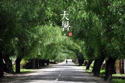 Major Heat (dà shǔ大暑)