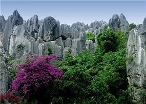 Stone Forest kunming