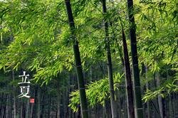 Start of Summer (lì xià立夏)