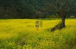Clear and Bright (qīng míng清明)