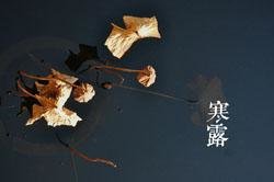 Cold Dew (hán lù寒露)