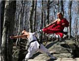 Shaolin Temple and Pagoda Forest (including Shaolin Kungfu Show)
