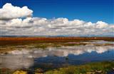 Qinghai Lake Cruise
