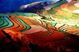 Dongchuan Red Land Dongchuan Red Land