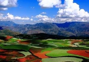 Dongchuan Red Land