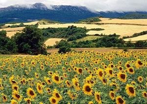 Top Places to Visit in China in Summer