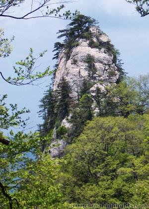 Solitary Beauty Peak