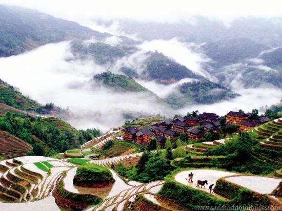 The beautiful rice terraced fields in Longsheng, Guilin