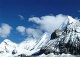 The Jade Dragon Snow Mountain(Yak Meadow)