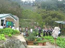 Top 5 Offbeat Things to Do in Hong Kong